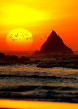 Cargar imagen en el visor de la galería, 2026.05.01 - PUNTA LUNA EXPERIENCE